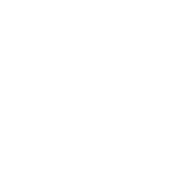 DOWNTOWN DOG DAYS X PETCHEFY